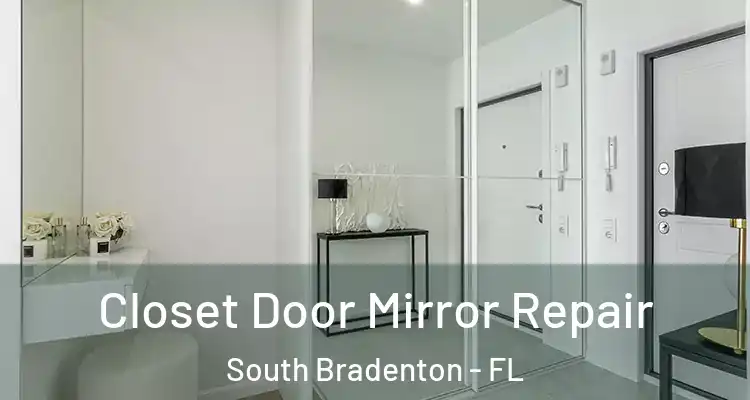 Closet Door Mirror Repair South Bradenton - FL