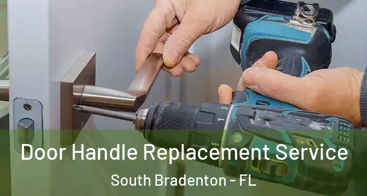 Door Handle Replacement Service South Bradenton - FL