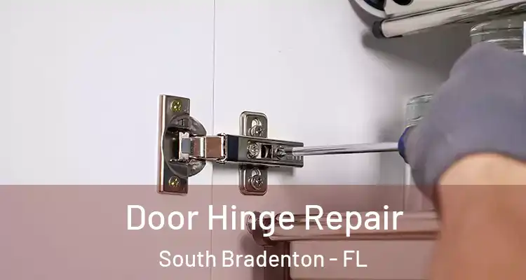 Door Hinge Repair South Bradenton - FL