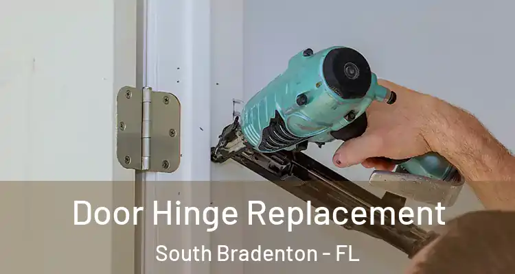 Door Hinge Replacement South Bradenton - FL