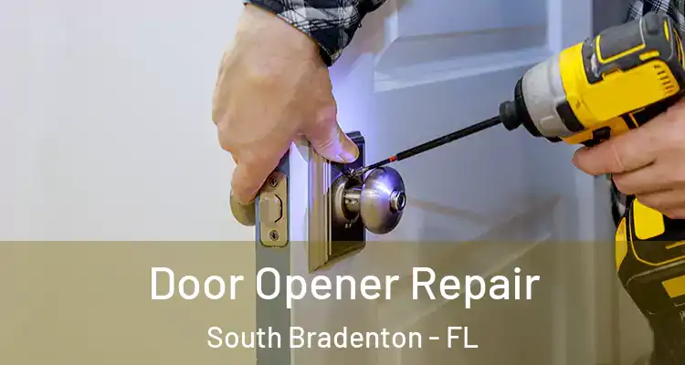 Door Opener Repair South Bradenton - FL