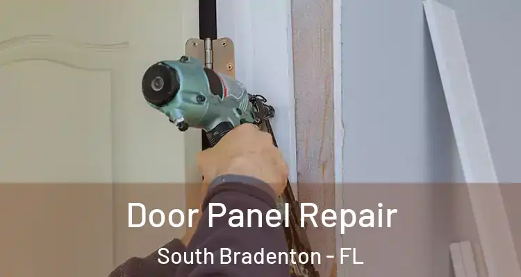 Door Panel Repair South Bradenton - FL