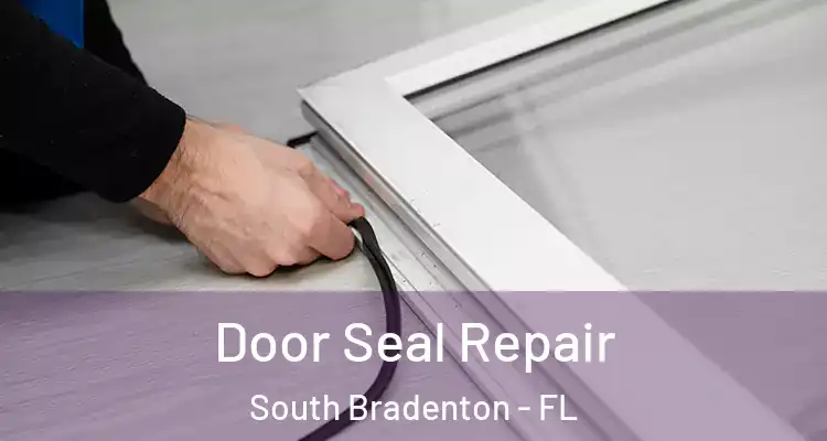 Door Seal Repair South Bradenton - FL