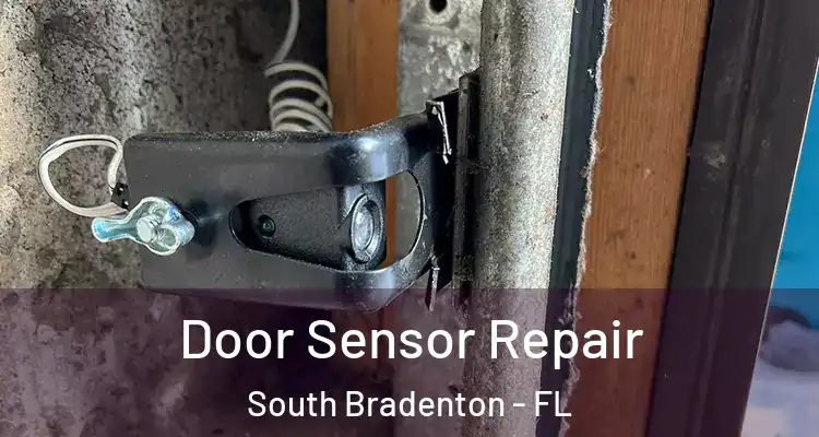 Door Sensor Repair South Bradenton - FL
