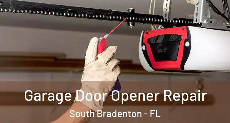 Garage Door Opener Repair South Bradenton - FL