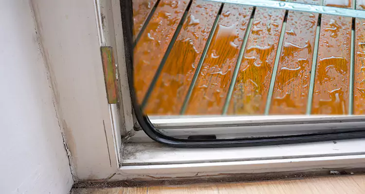 Water Leaking Wooden Patio Doors Repair in South Bradenton, FL