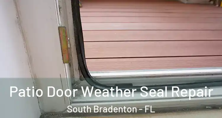 Patio Door Weather Seal Repair South Bradenton - FL