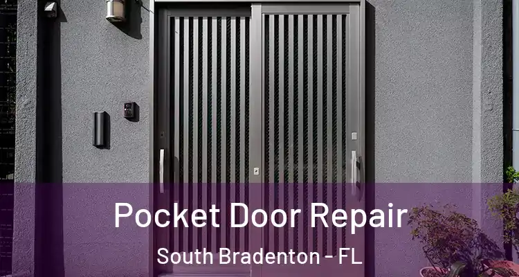 Pocket Door Repair South Bradenton - FL
