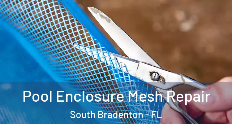 Pool Enclosure Mesh Repair South Bradenton - FL