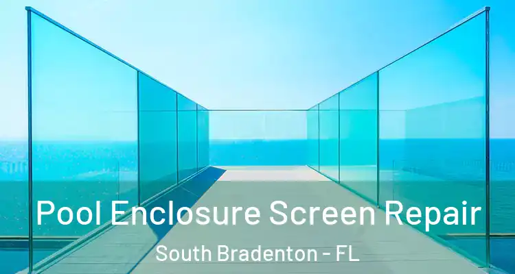 Pool Enclosure Screen Repair South Bradenton - FL