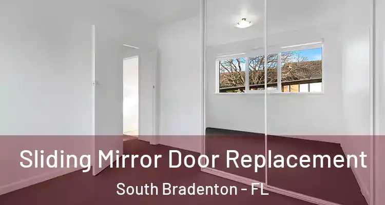 Sliding Mirror Door Replacement South Bradenton - FL