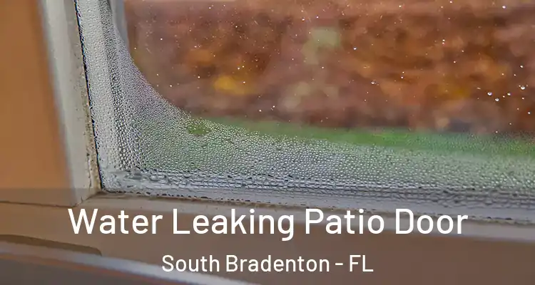Water Leaking Patio Door South Bradenton - FL